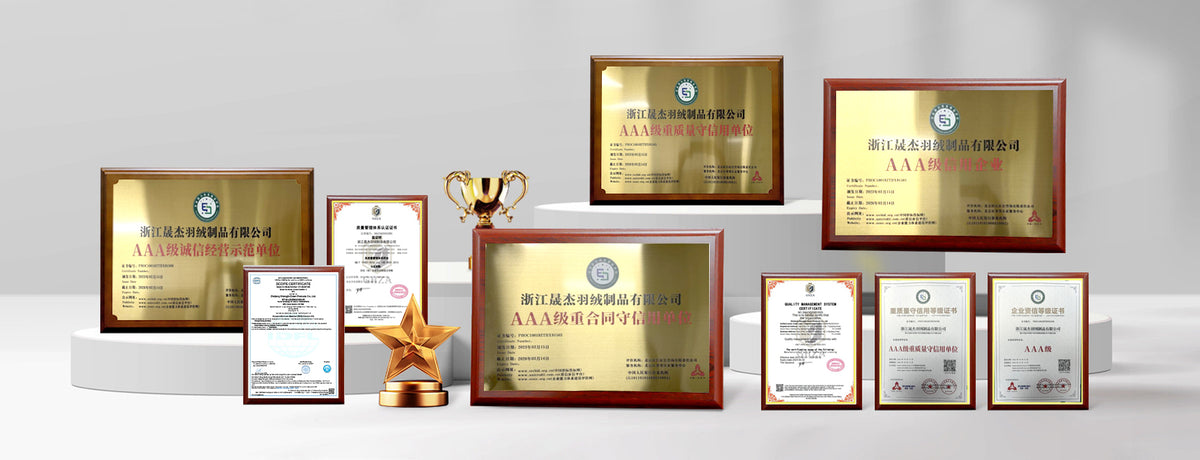 zj-shengjie.com