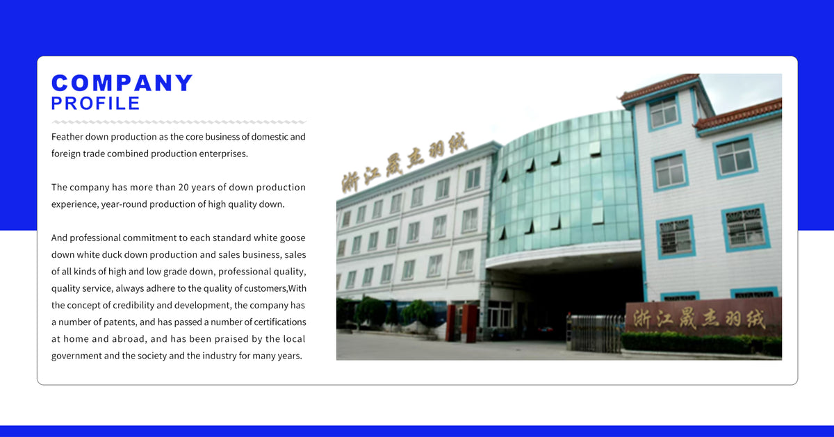 zj-shengjie.com