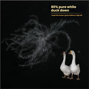 80%White Duck Down