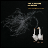 80%White Duck Down